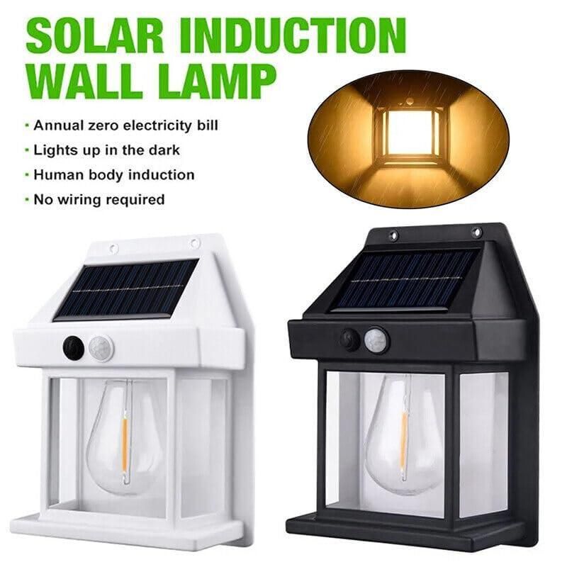 Solar Light Outdoor Wall Light – Energy-Saving and Waterproof LED (Pack of 1)