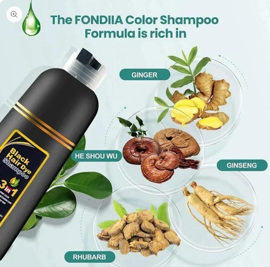 Unisex Instant Black Herbal Hair Dye Shampoo | 3-in-1 Grey Hair Coverage | Natural Herbal Extracts | 100ml Each (Pack of 2)