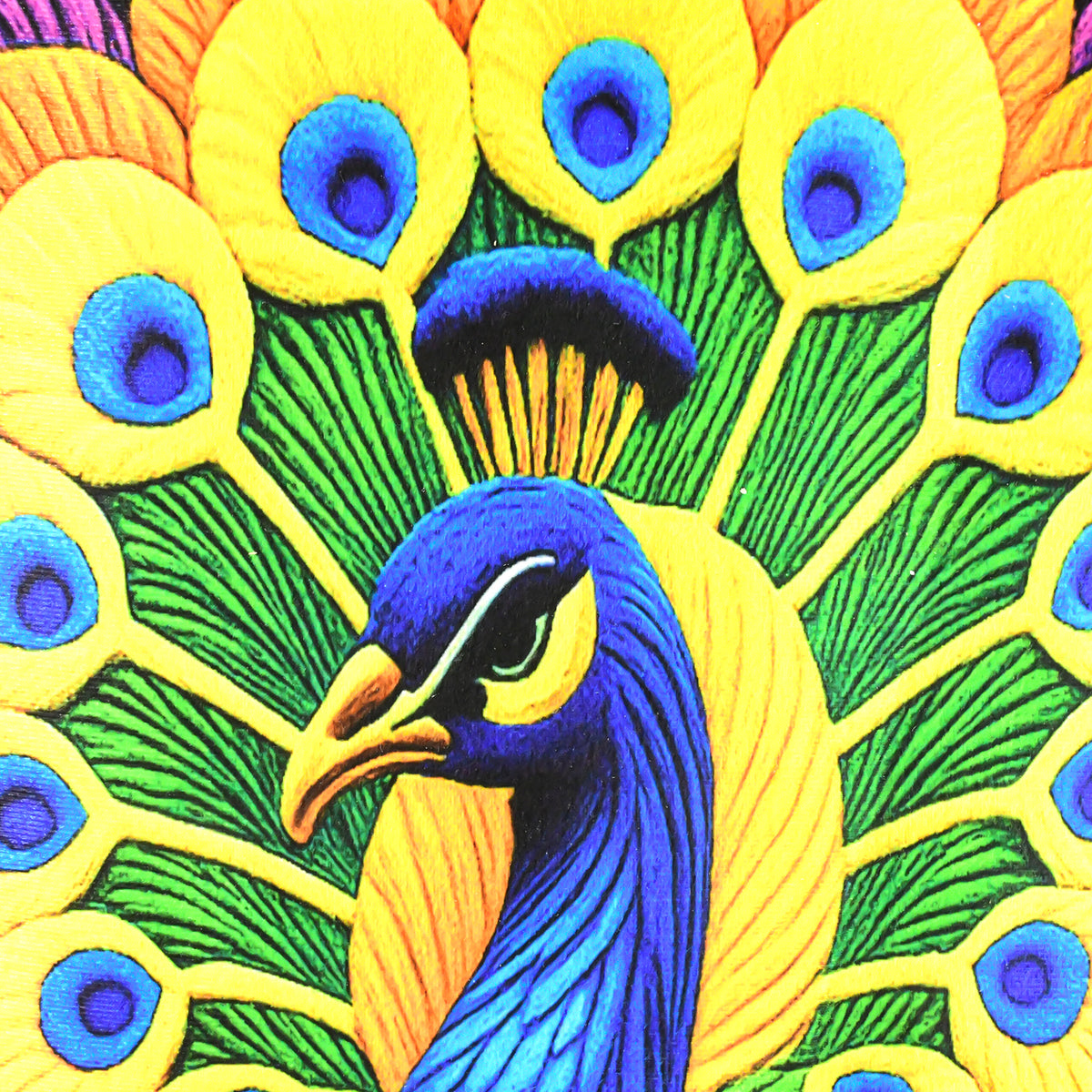 Peacock Design Anti-slip Floor Mat - (1 Pc) Soft Velvet Touch, Quick-Dry, Easy-Clean Home Decor Rug