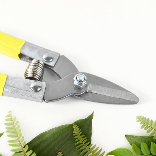 Precision Micro Garden Snip Pruning Scissor Stainless Steel Garden Trimming Shears for Herbs Flowers Bonsai Indoor Plants and Precision Pruning (Small, 1 Pc)