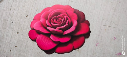 Floral Plush & Diatomaceous Earth Floor Mat – 3D Flower Design, Pack of 2