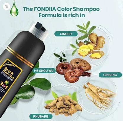 Unisex Instant Black Herbal Hair Dye Shampoo | 3-in-1 Grey Hair Coverage | Natural Herbal Extracts | 100ml Each (Pack of 2)