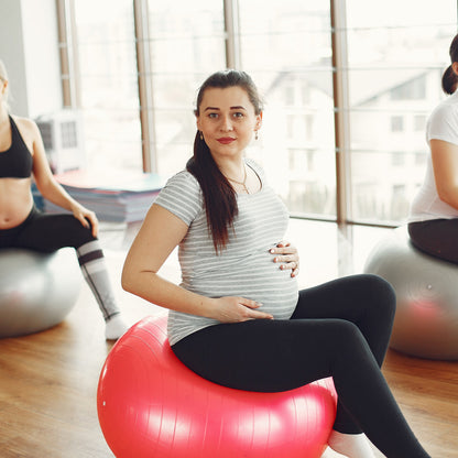 65 cm Anti Burst Exercise Ball with Inflation Pump Non Slip Yoga Ball for Pilates Core Training Home Gym and Pregnancy Fitness