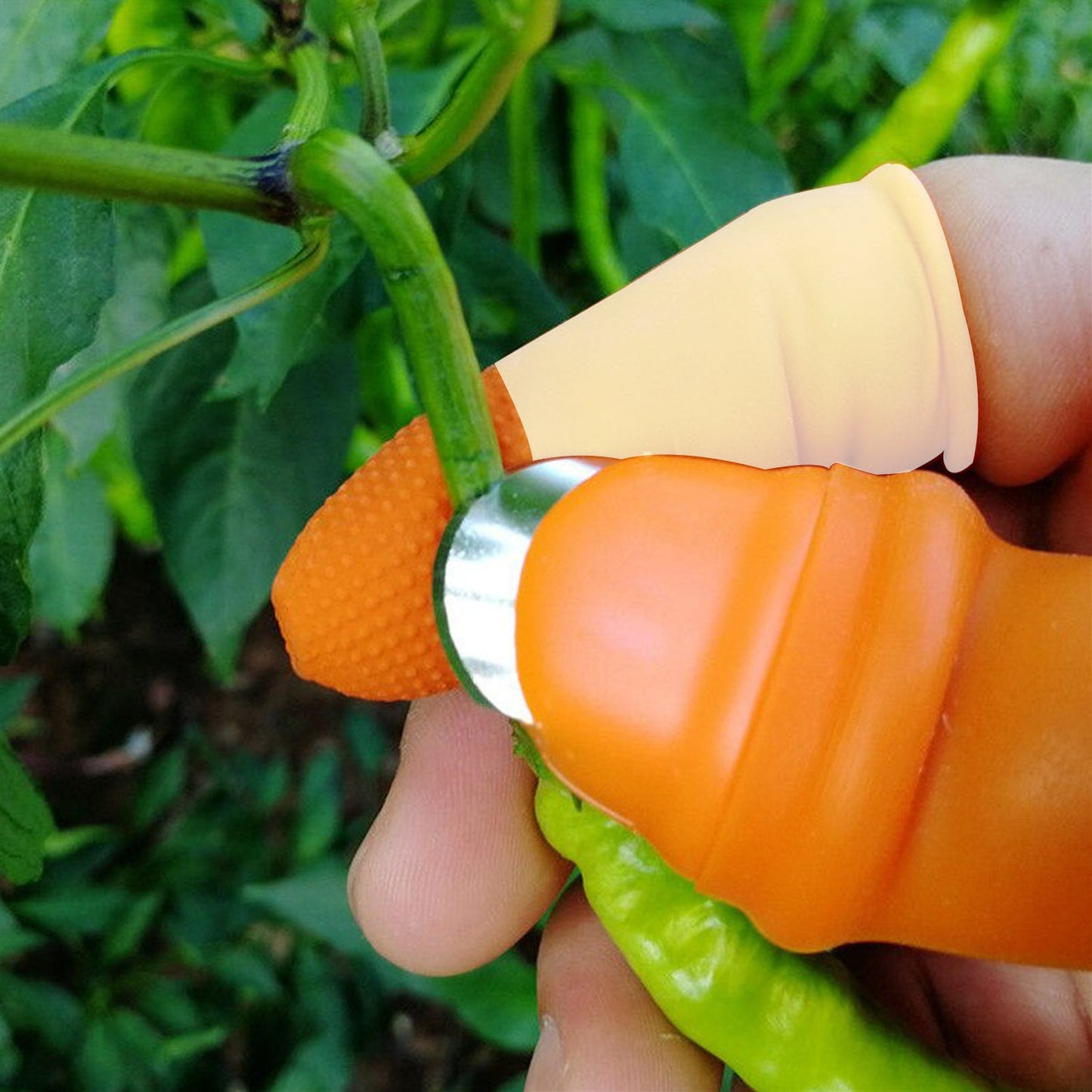 1 Pair V Thumb Cutter with Storage Box – Finger Knife Cutter for Vegetable Harvesting, Peeling and Cutting