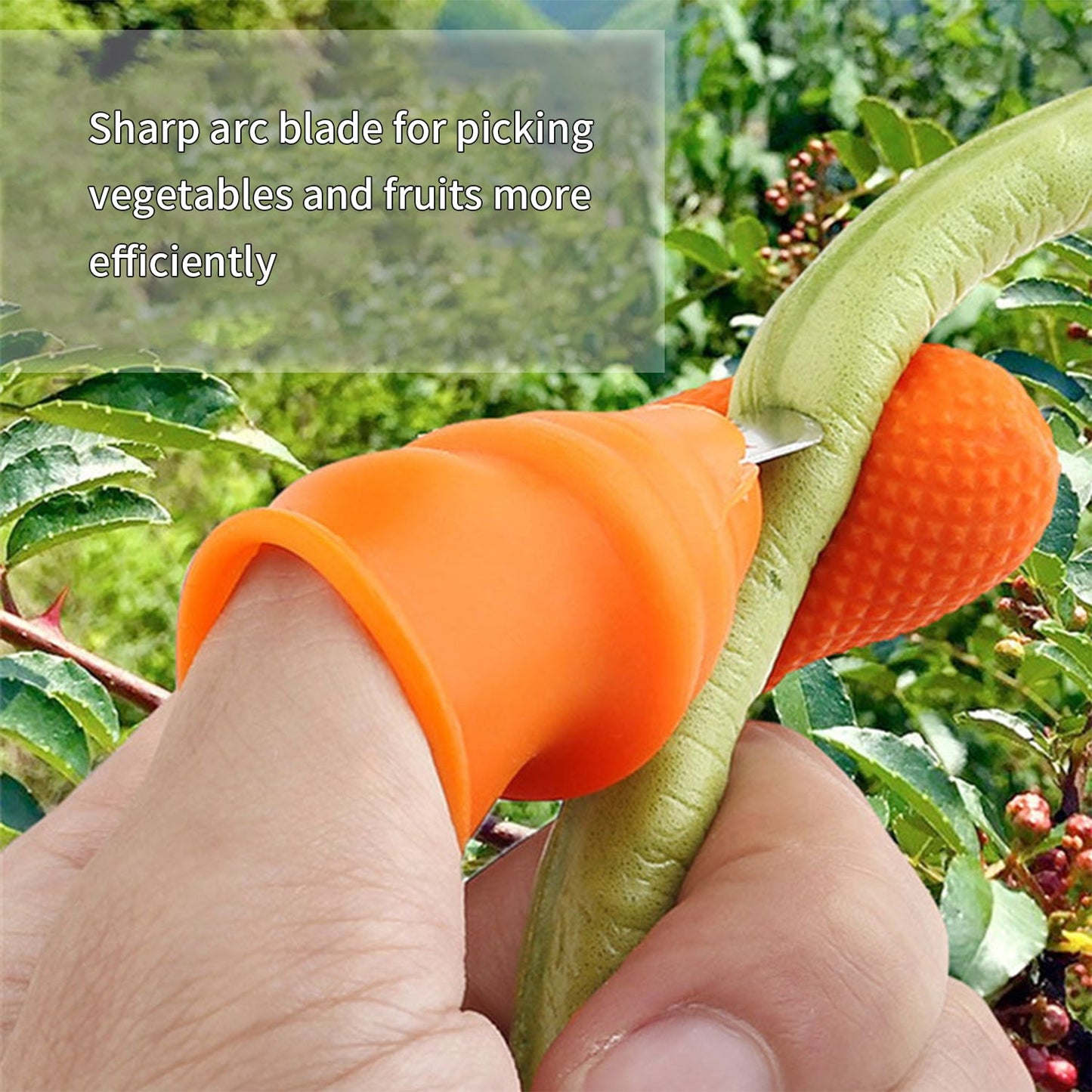 1 Pair V Thumb Cutter with Storage Box – Finger Knife Cutter for Vegetable Harvesting, Peeling and Cutting