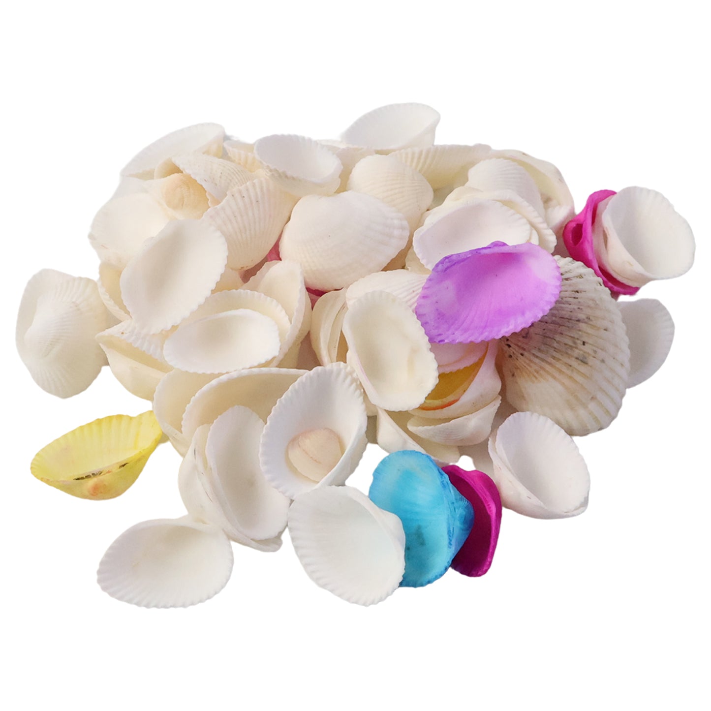 Decorative Seashells Set for Home Decoration, Vase Filler, DIY Crafts, Table Decor, Bowl Fillers & Event Styling – Natural Shell Decor Set (1 Set)