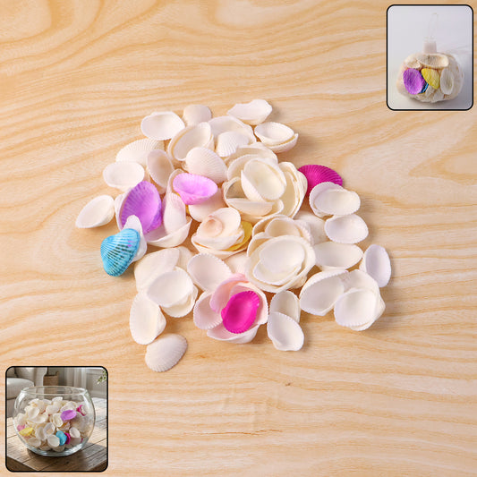Decorative Seashells Set for Home Decoration, Vase Filler, DIY Crafts, Table Decor, Bowl Fillers & Event Styling – Natural Shell Decor Set (1 Set)