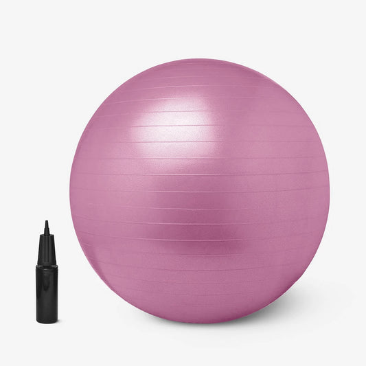 65 cm Anti Burst Exercise Ball with Inflation Pump Non Slip Yoga Ball for Pilates Core Training Home Gym and Pregnancy Fitness