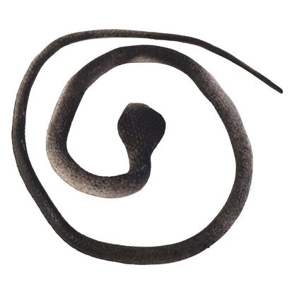 Realistic Dummy Snake Toy For Kids Pranks (1 Pc)