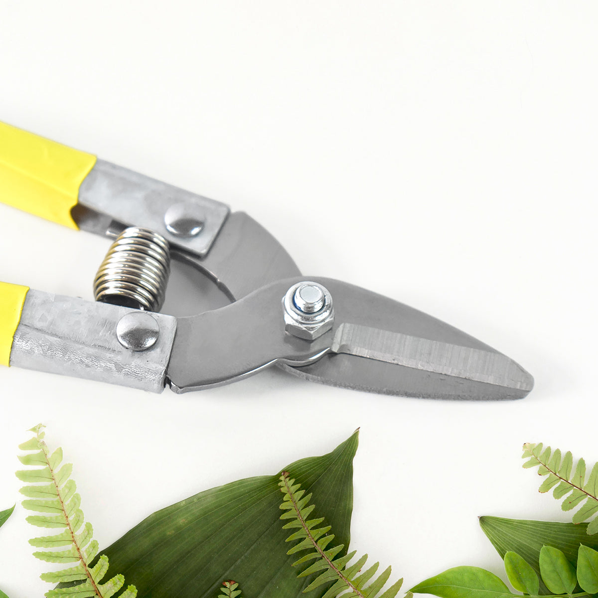 Precision Micro Garden Snip Pruning Scissor Stainless Steel Garden Trimming Shears for Herbs Flowers Bonsai Indoor Plants and Precision Pruning (Small, 1 Pc)